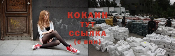 mdma Новодвинск