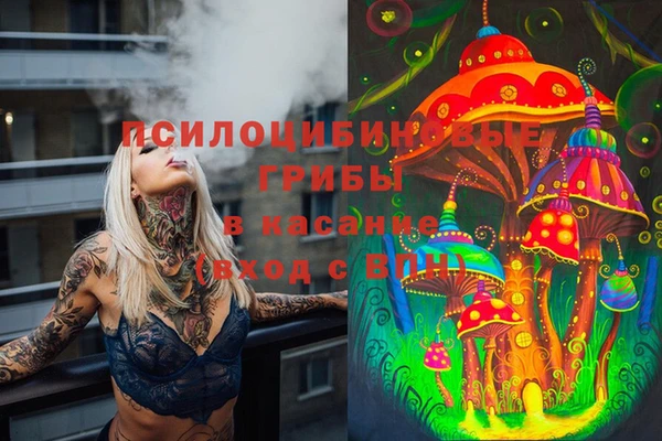 СК Нея
