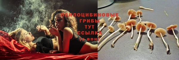 mdma Новодвинск