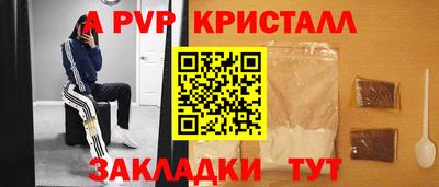 дмт Гай