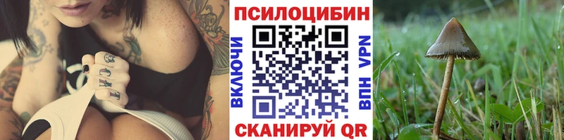 кракен маркетплейс  Алексин  Псилоцибиновые грибы Cubensis 