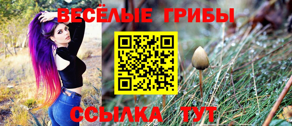 Псилоцибиновые грибы прущие грибы  Вход с VPN  Галлюциногенные грибы GOLDEN TEACHER  даркнет сайт  Алексин 