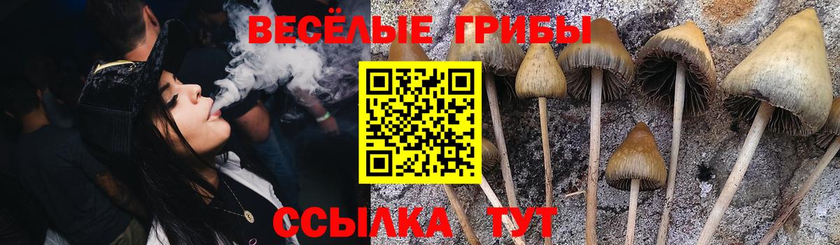 наркошоп  Галлюциногенные грибы Psilocybine cubensis  Алексин  Вход с VPN  Псилоцибиновые грибы ЛСД 